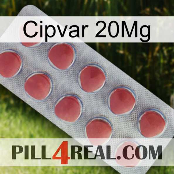 Cipvar 20Mg 18.jpg